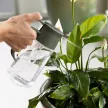 FISKARS Plant Care permetező & öntözőkanna (0,5 L)