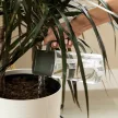 FISKARS Plant Care permetező & öntözőkanna (0,5 L)