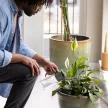 FISKARS Plant Care öntözőkanna (0,5 L)