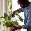 FISKARS Plant Care öntözőkanna (0,5 L)