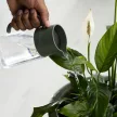 FISKARS Plant Care öntözőkanna (0,5 L)
