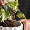 FISKARS Plant Care talajgondozó készlet (3 részes)