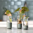 FISKARS Plant Care növénynevelő készlet (3 részes)