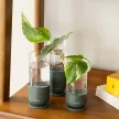 FISKARS Plant Care növénynevelő készlet (3 részes)
