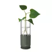 FISKARS Plant Care növénynevelő