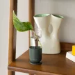 FISKARS Plant Care növénynevelő