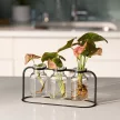 FISKARS Plant Care növénynevelő állomás 