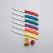 VICTORINOX Swiss Classic paradicsomszeletelő kés (11 cm) 6 részes, színes