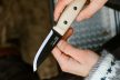 MORAKNIV Finn (S) kés, tokkal, kőrisfa markolattal