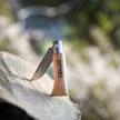 OPINEL Tradition Classique No.02 (S) zsebkés, bükk