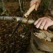OPINEL No.18 (S) összecsukható fűrész, bükk