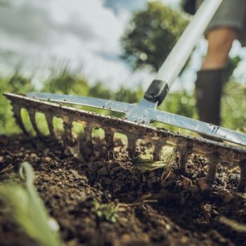 Kapák, gereblyék, talajlazítók