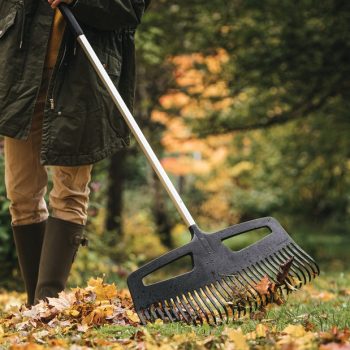 Lombseprűk és Seprűk