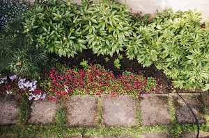 Miért fontos a takarékosság a kert öntözése során?