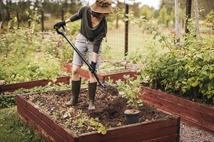 Miért fontos a jó talaj-előkészítés a tavaszi veteményezés során?